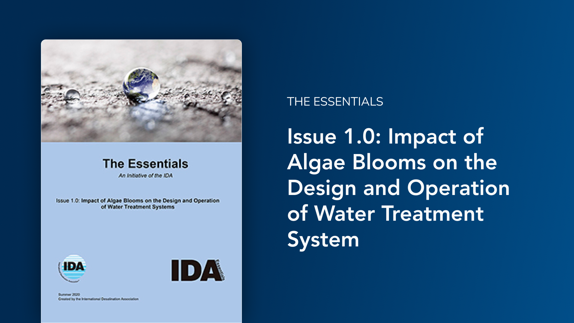 Issue 1.0: Impact of Algae Blooms on the Design and Operation of Water Treatment System