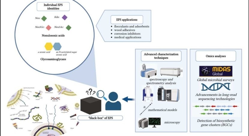 Materials of the future can be extracted from wastewater