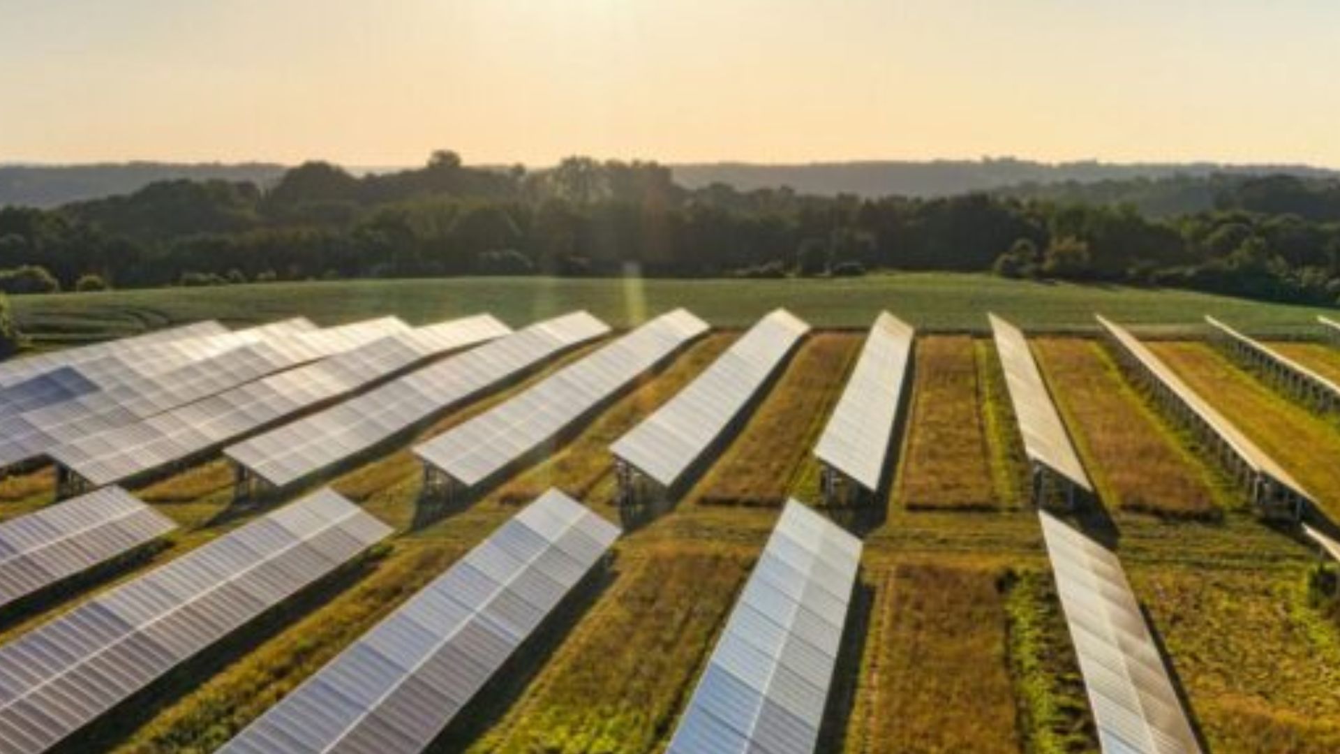 GS Inima acquires The Fenazar solar park in Murcia, Spain