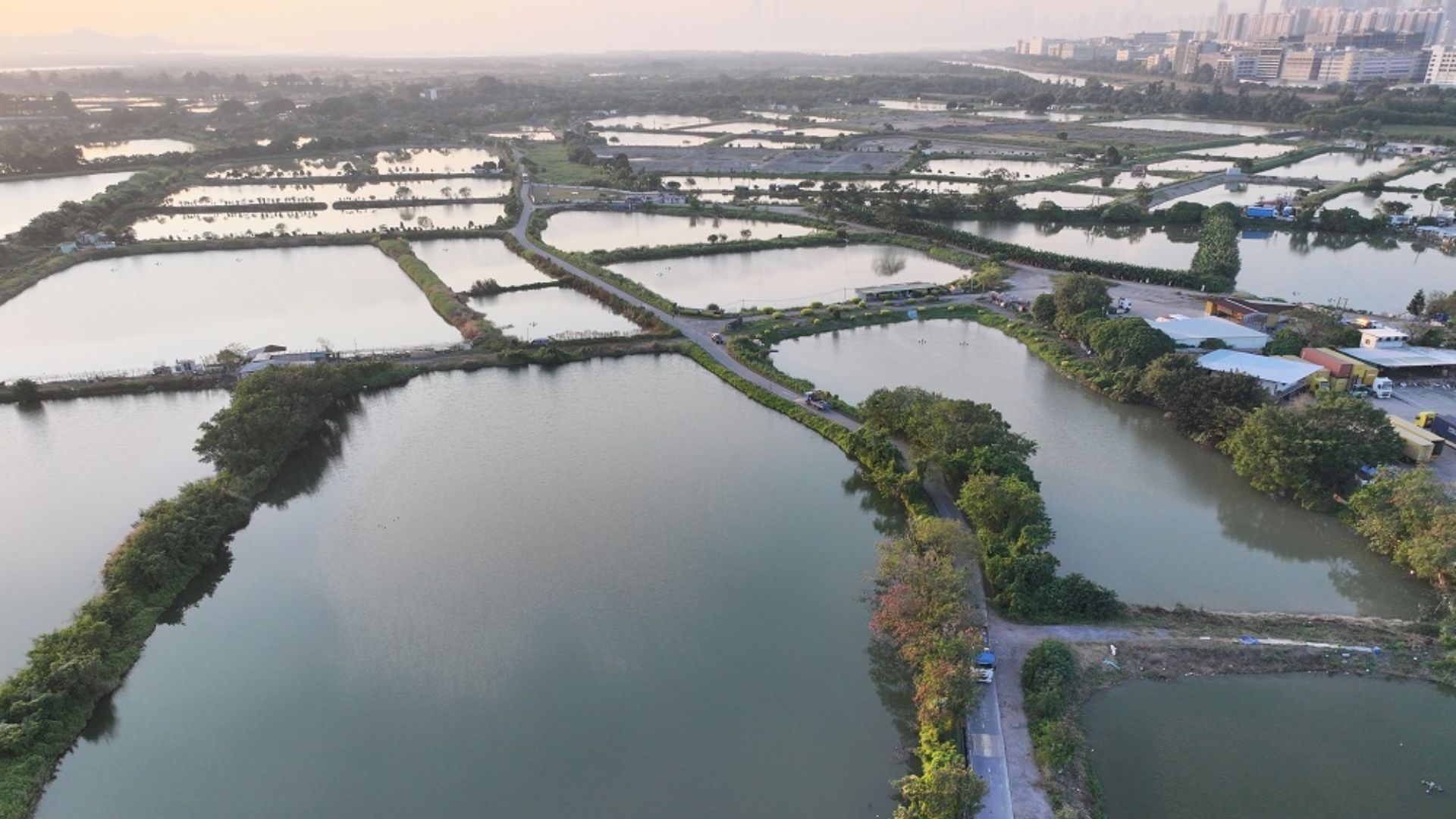 AECOM to deliver Investigation Study for Hong Kong’s first Wetland Conservation Park in the Northern Metropolis