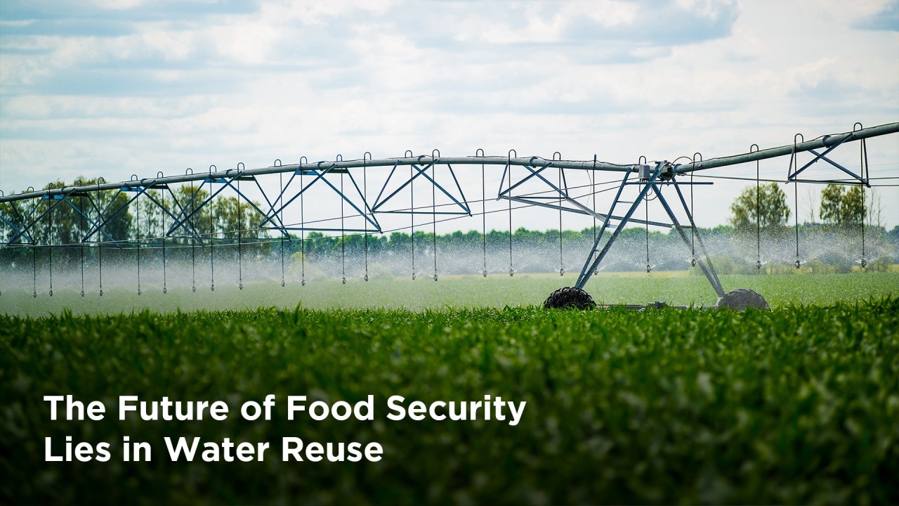 From Field to Fork: The Role of Water Reuse in Ensuring Food Security 