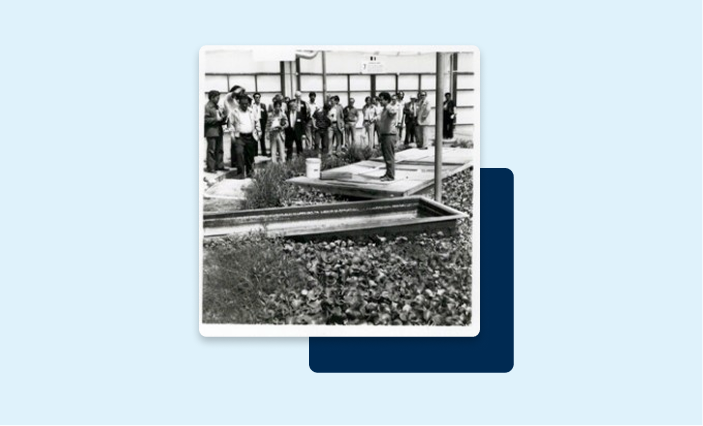 History Image