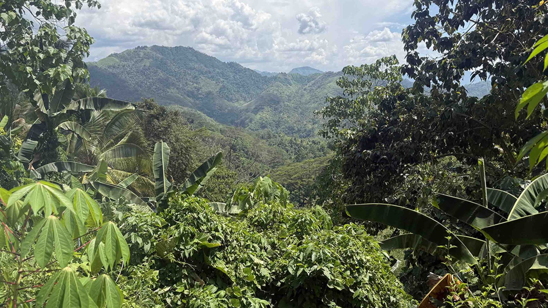 Stantec selected to lead Definitive Feasibility Study for the US$2.37 billion Kingking Copper-Gold Project in the Philippines