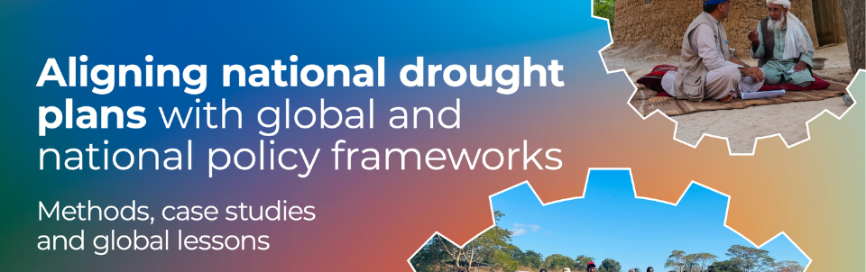 FAO – Aligning national drought plans with global and national policy frameworks – Methods, case studies and global lessons