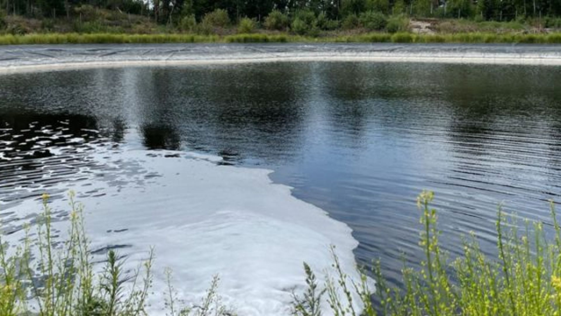 Advancing PFAS and TFA removal from surface water in Lake Neuchâtel with HFNF technology